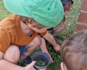 beacon_hill_nursery_school 20